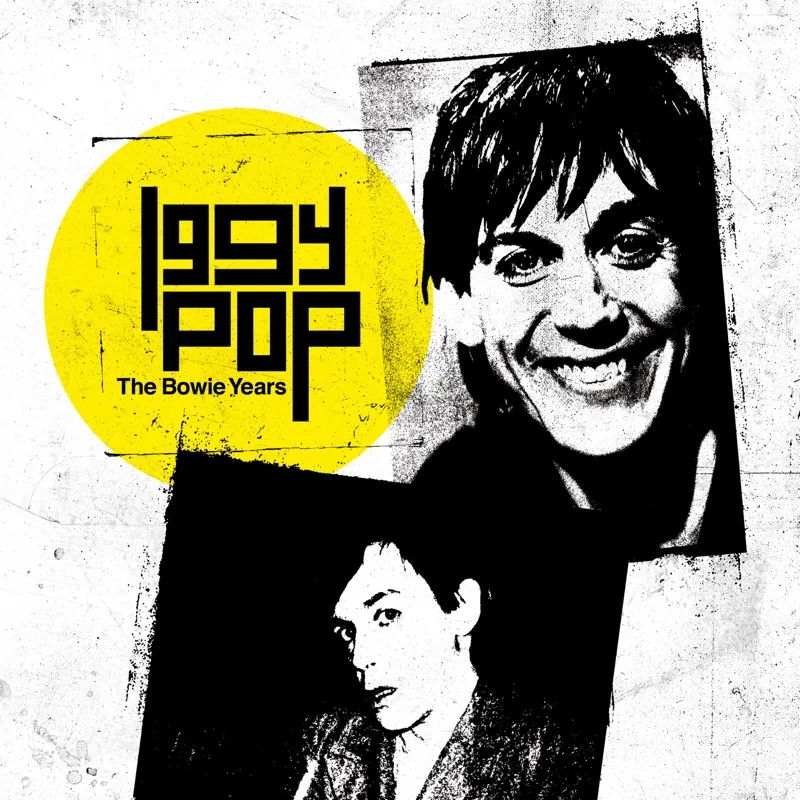 <strong>Iggy Pop - The Bowie Years</strong> (Cd)