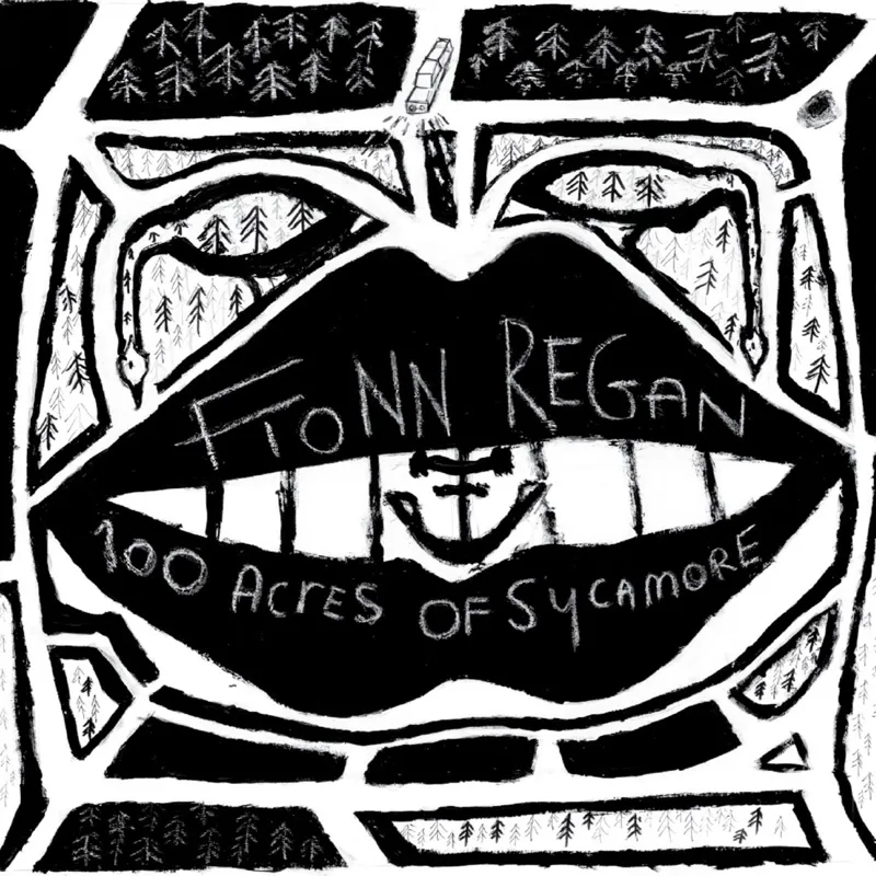 <strong>Fionn Regan - 100 Acres Of Sycamore (10th Anniversary)</strong> (Vinyl LP - black)