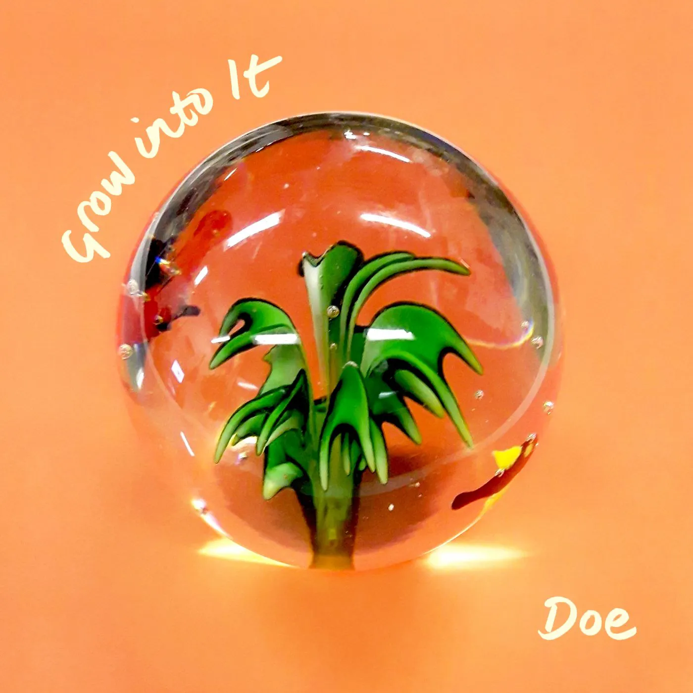 <strong>Doe - Grow Into It</strong> (Vinyl LP)