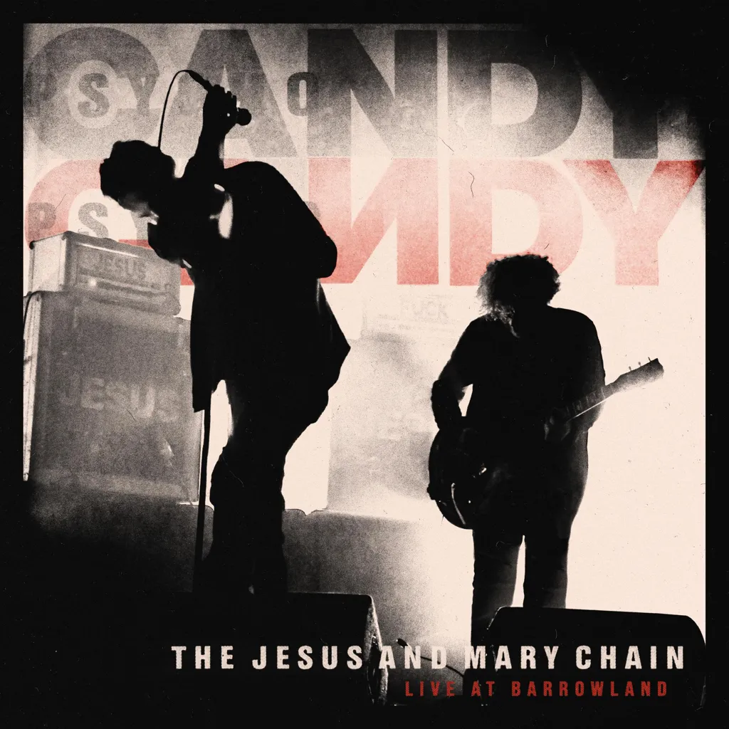 The Jesus and Mary Chain - Vinyl, CDs & Books | Rough Trade