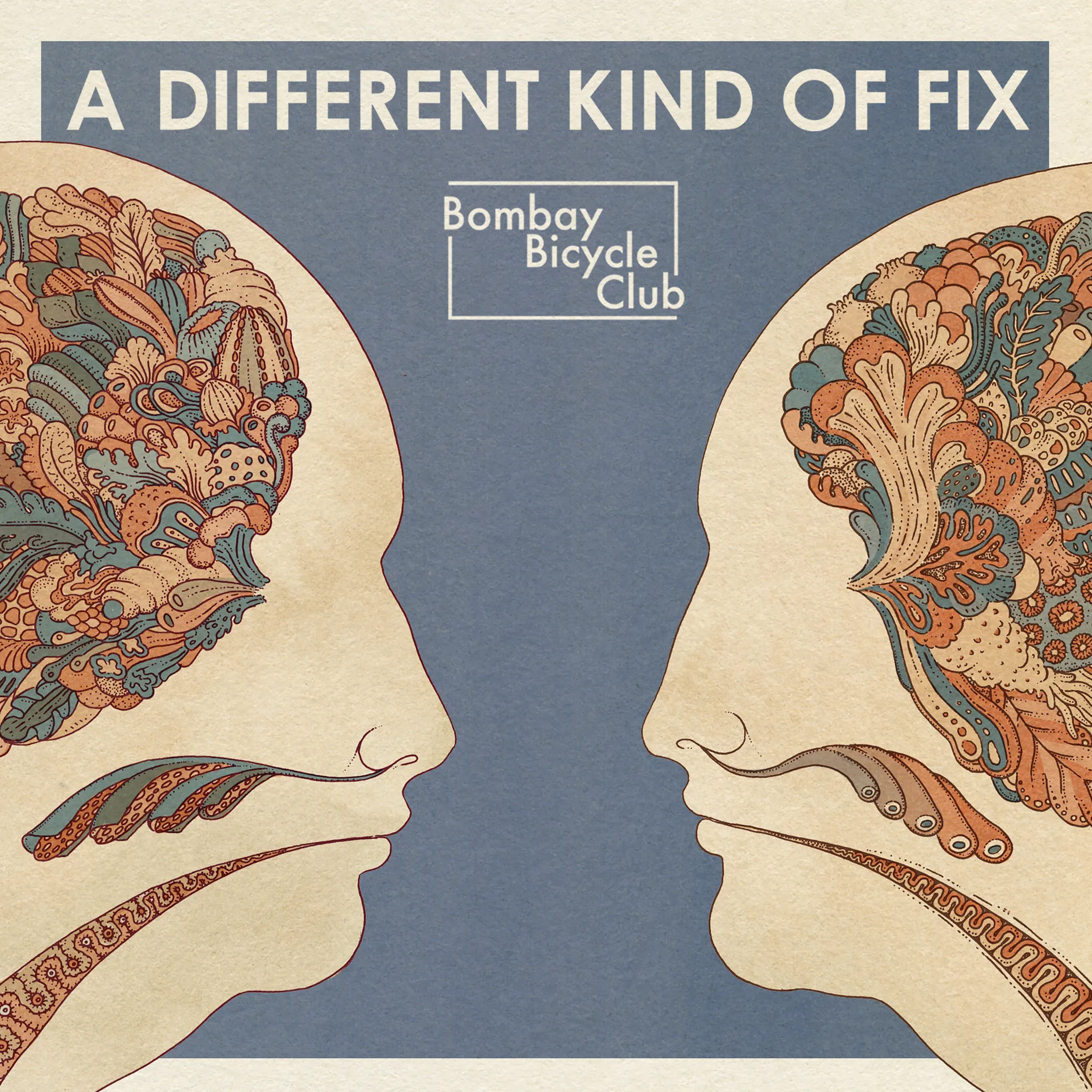 Bombay Bicycle Club - Different Kind of Fix artwork