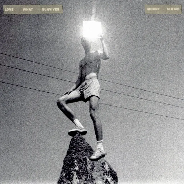 <strong>Mount Kimbie - Love What Survives</strong> (Vinyl LP)