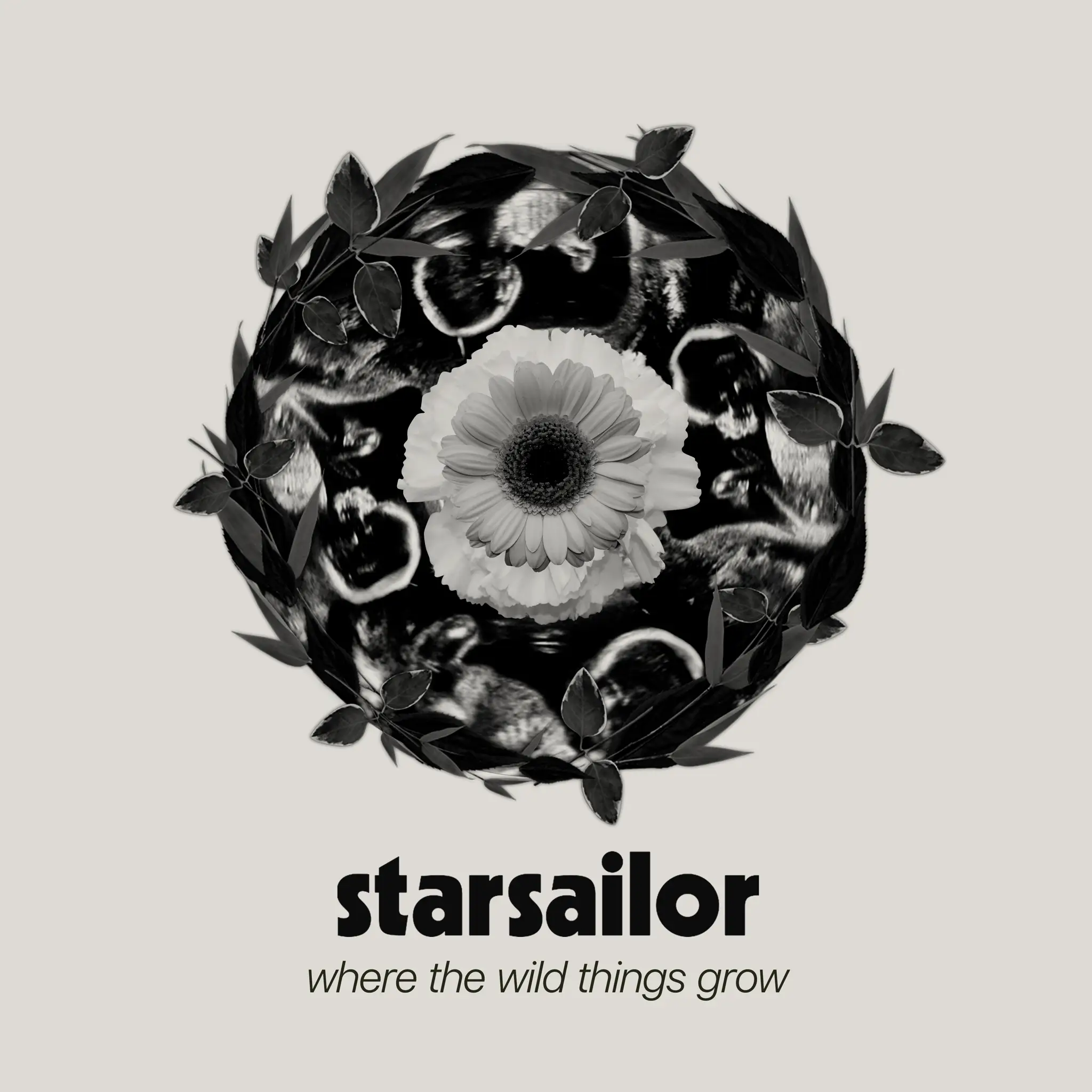 <strong>Starsailor - Where The Wild Things Grow</strong> (Cd)