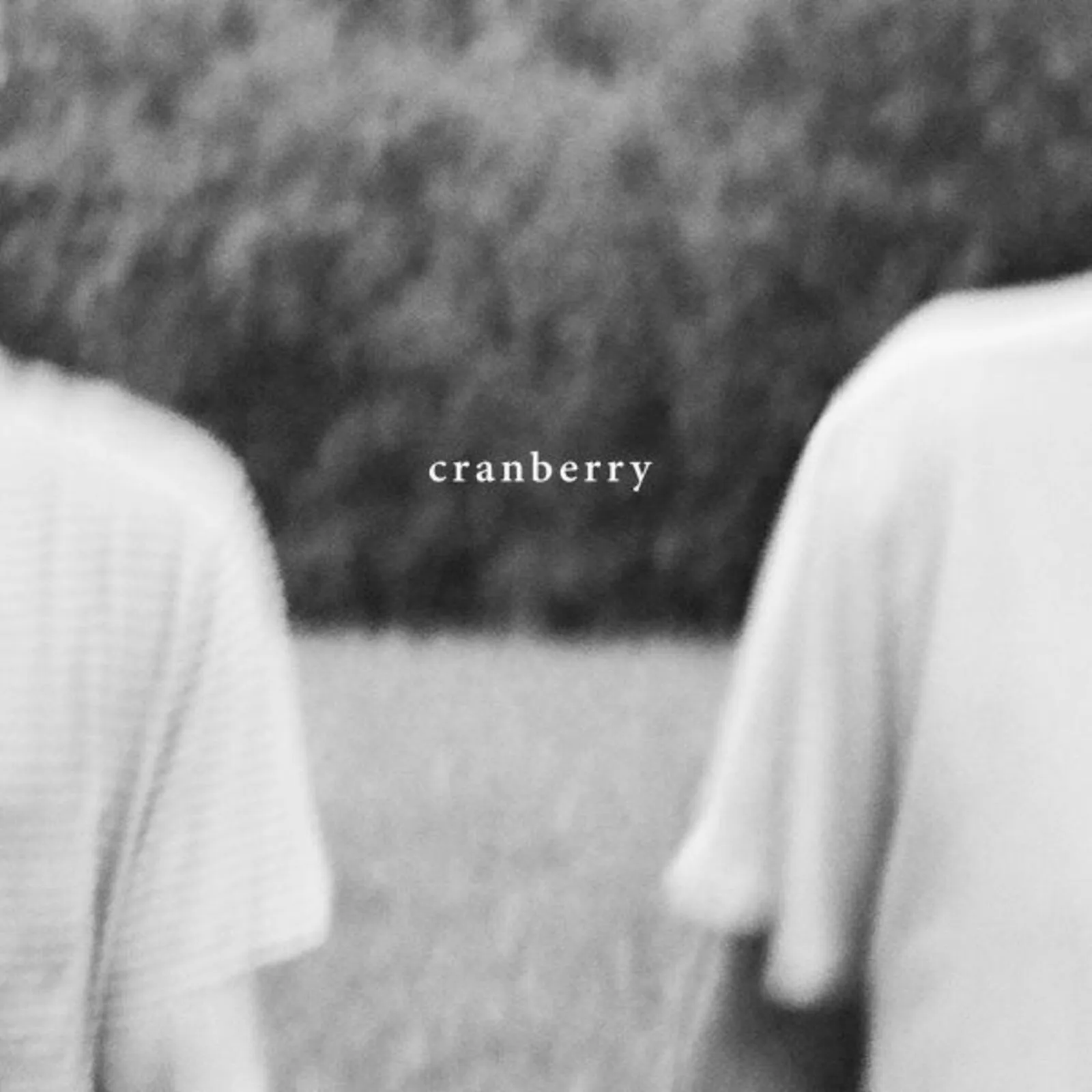 <strong>Hovvdy - Cranberry</strong> (Vinyl LP - black)