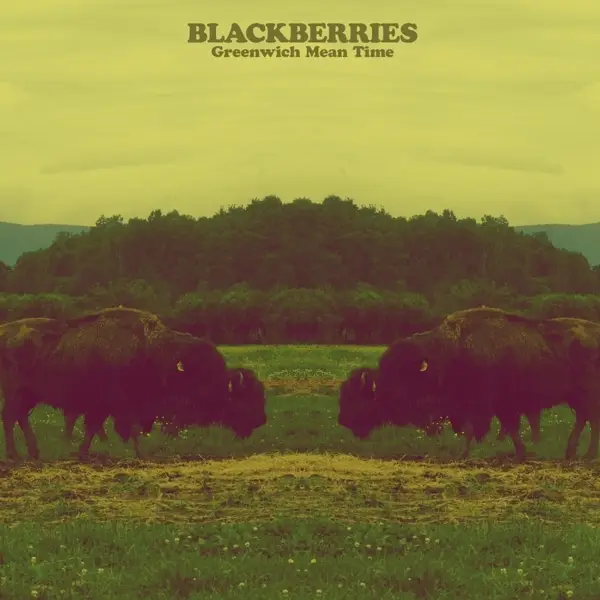 blackberries-greenwich-mean-time-vinyl-lp-cd-rough-trade