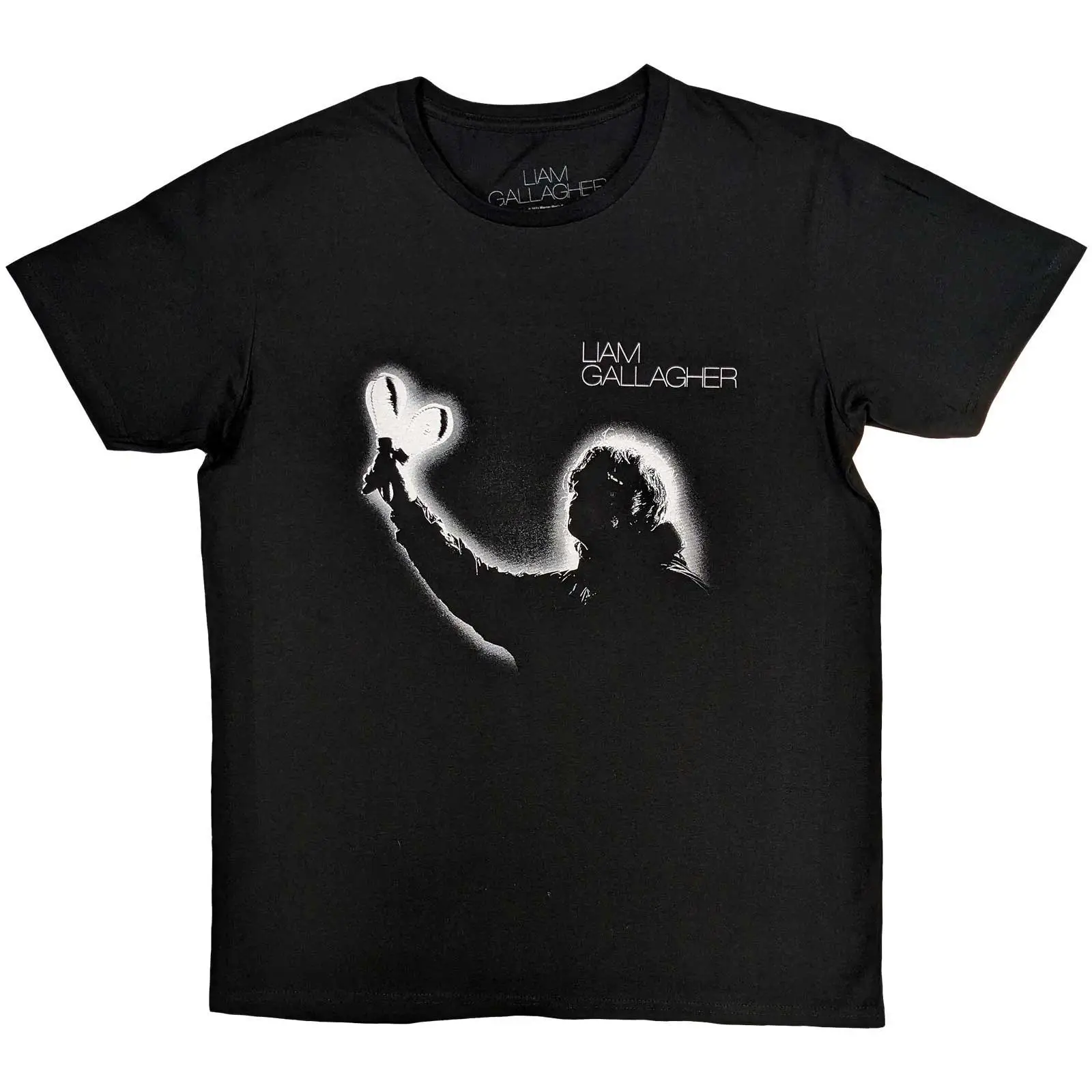 Liam Gallagher - Liam Gallagher Unisex T-Shirt: Everything's Electric  Everything's Electric Short Sleeves artwork
