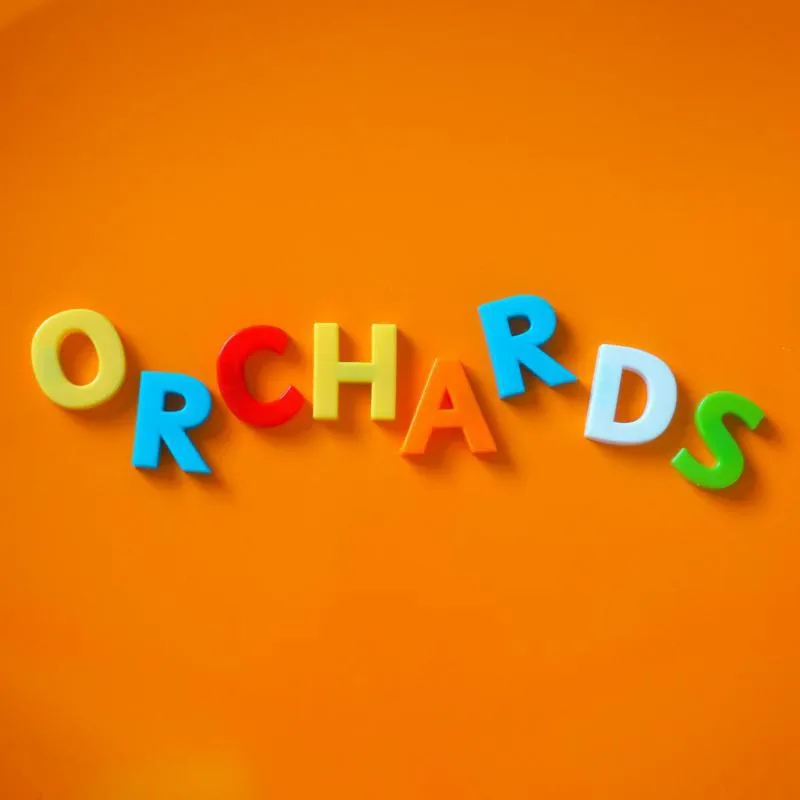 <strong>Orchards - Young/Mature Me</strong> (Vinyl 12)
