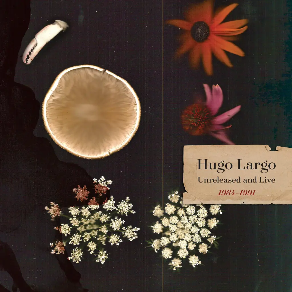Album art